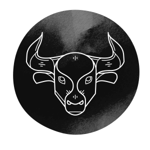 Stier